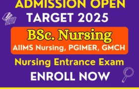 BSc Nursing